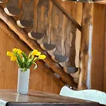 Guest house Aura Karpat
