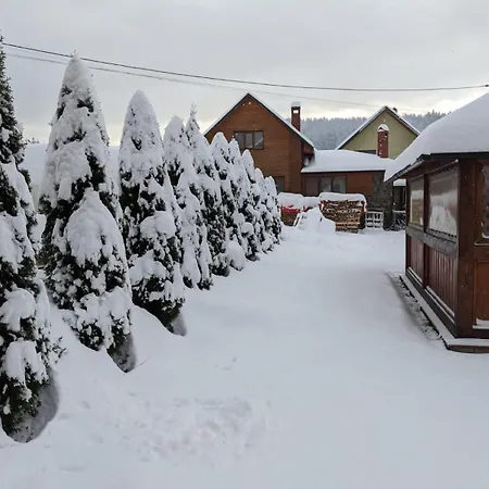 Aura Karpat Guest house 4*