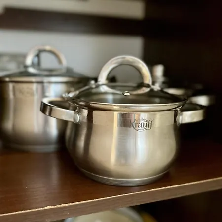 Πανσιόν Aura Karpat 4*