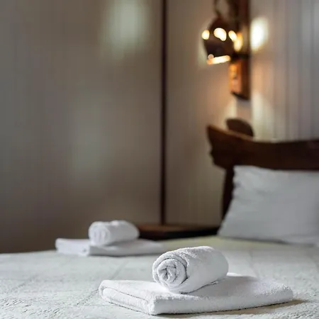 Aura Karpat Guest house 4*