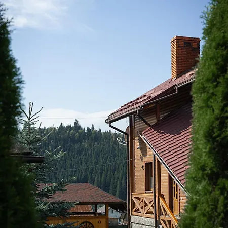 Guest house Aura Karpat 4*