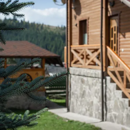 Aura Karpat Gæstehus Bukovel