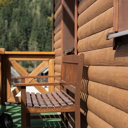 Guest house Aura Karpat 4*