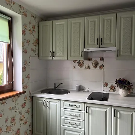 Guest house Aura Karpat