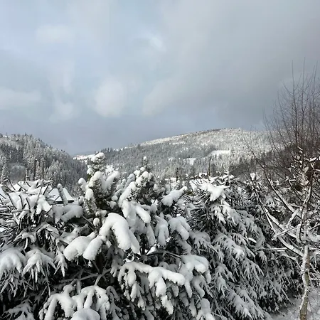 Guest house Aura Karpat 4*