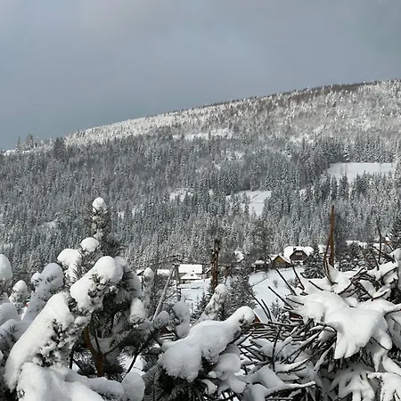 Aura Karpat Gæstehus Bukovel