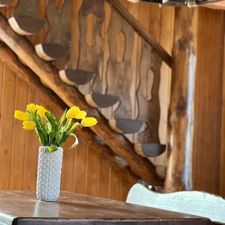 Guest house Aura Karpat