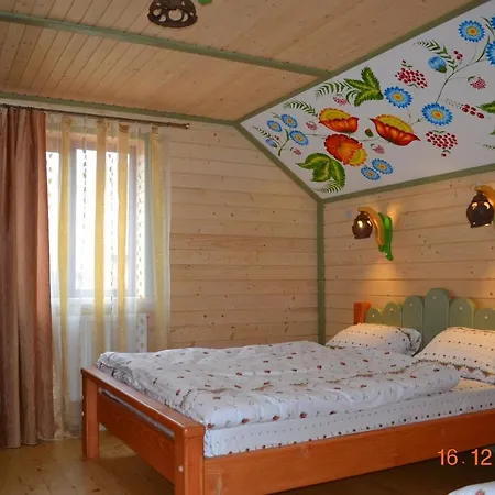 Aura Karpat Guest house