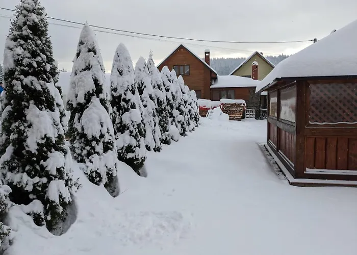 Aura Karpat Konukevi 4*