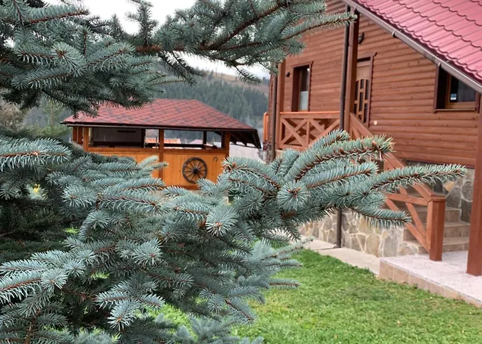 Aura Karpat 4*