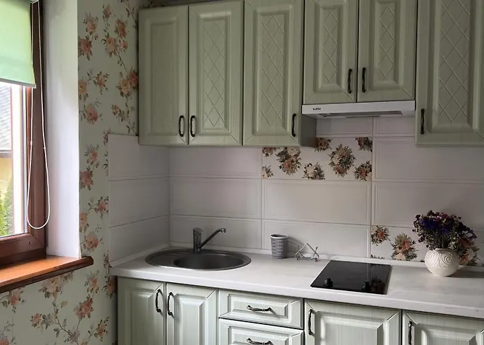 Konukevi Aura Karpat