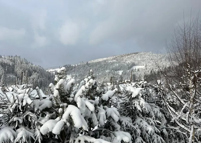 Konukevi Aura Karpat 4*