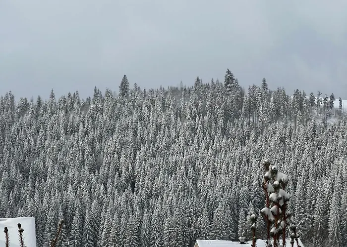 Aura Karpat 4* Bukovel