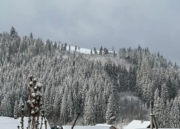 Konukevi Aura Karpat Bukovel