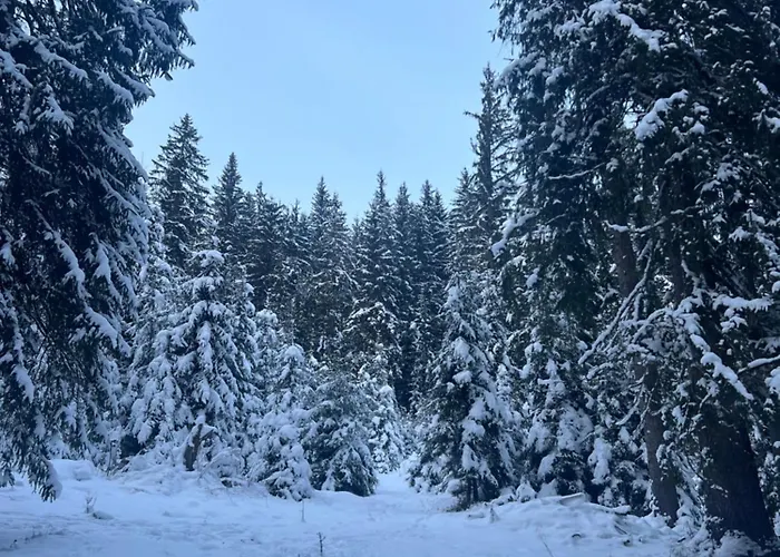 Konukevi Aura Karpat Bukovel