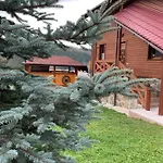 Aura Karpat 4*