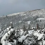 Aura Karpat Gæstehus Bukovel