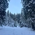 Gæstehus Aura Karpat Bukovel