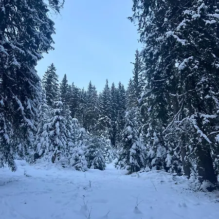 Vendégház Aura Karpat Bukovel